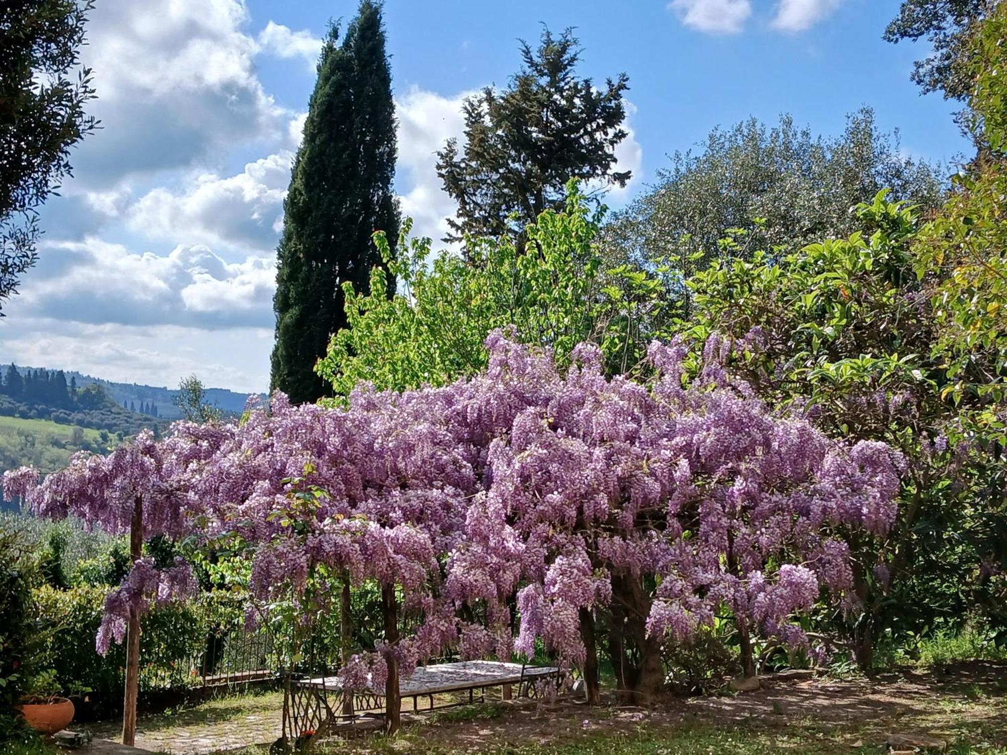 צ'רטאלדו Agriturismo Villa Gorgognano מראה חיצוני תמונה