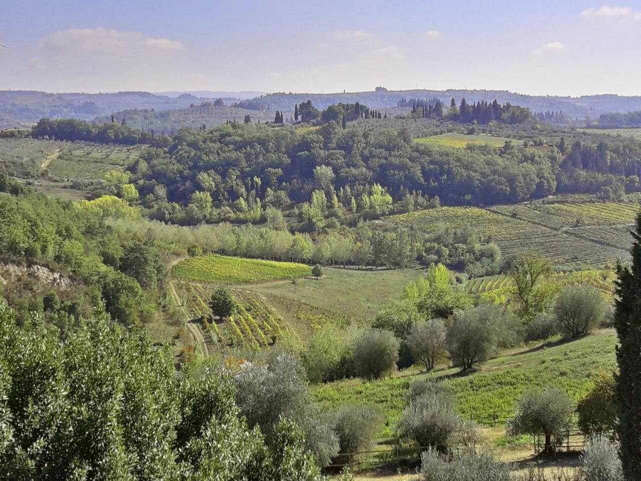 צ'רטאלדו Agriturismo Villa Gorgognano מראה חיצוני תמונה
